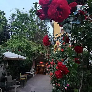 Casa Michelangelo România