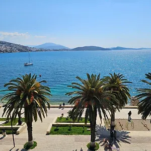 Pini Albania